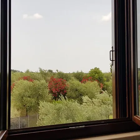 Villa Il Casale Degli Ulivi - Agriturismo à Lanuvio Extérieur photo