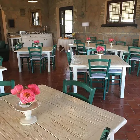 Villa Il Casale Degli Ulivi - Agriturismo à Lanuvio Extérieur photo