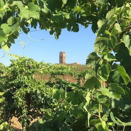 Villa Il Casale Degli Ulivi - Agriturismo à Lanuvio Extérieur photo