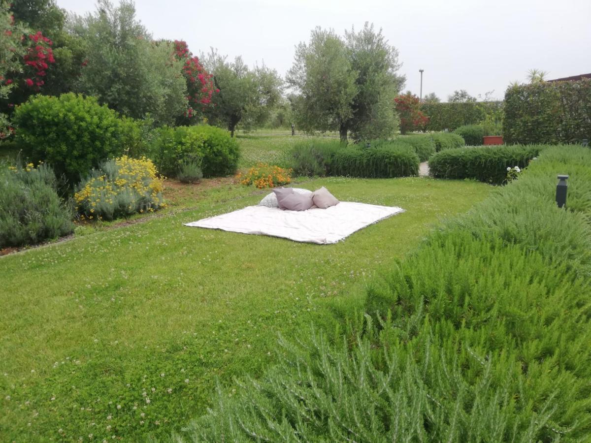 Il Casale Degli Ulivi - - Tenimenti Leone Bauernhof