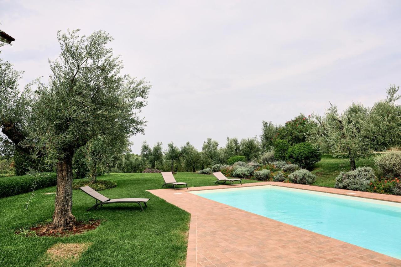 Il Casale Degli Ulivi - Agriturismo
