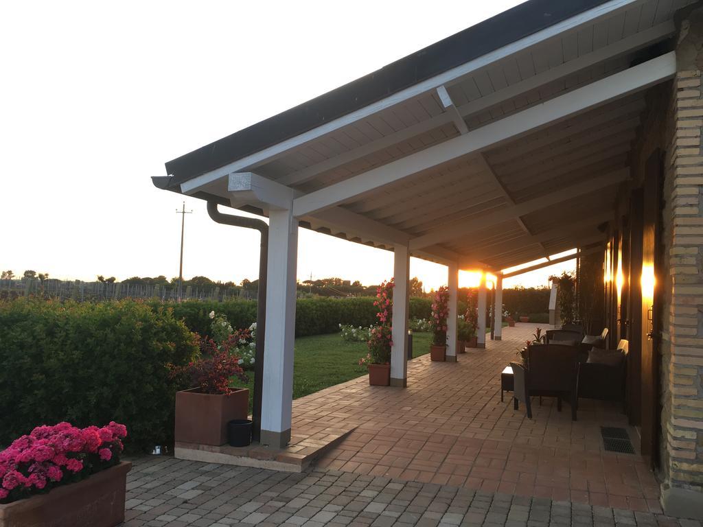 Bauernhof Il Casale Degli Ulivi - - Tenimenti Leone *