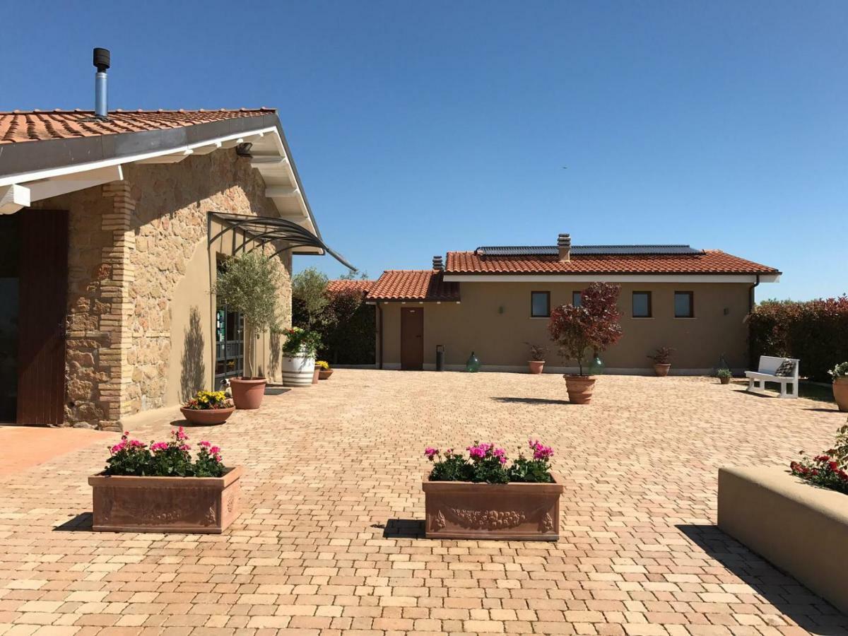 Il Casale Degli Ulivi - - Tenimenti Leone Bauernhof *