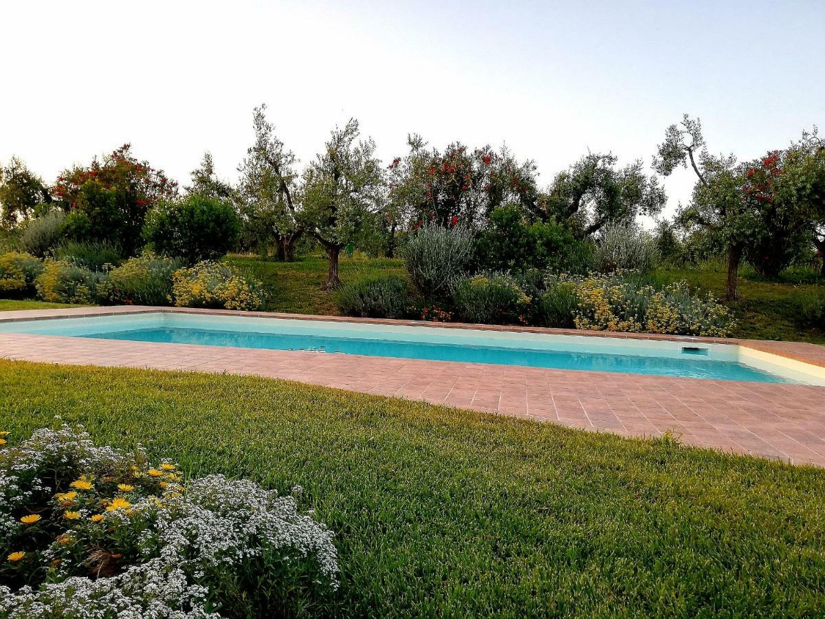 Il Casale Degli Ulivi - - Tenimenti Leone Bauernhof *