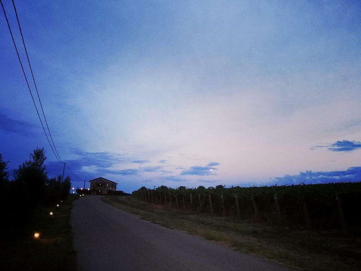 Il Casale Degli Ulivi - Agriturismo *